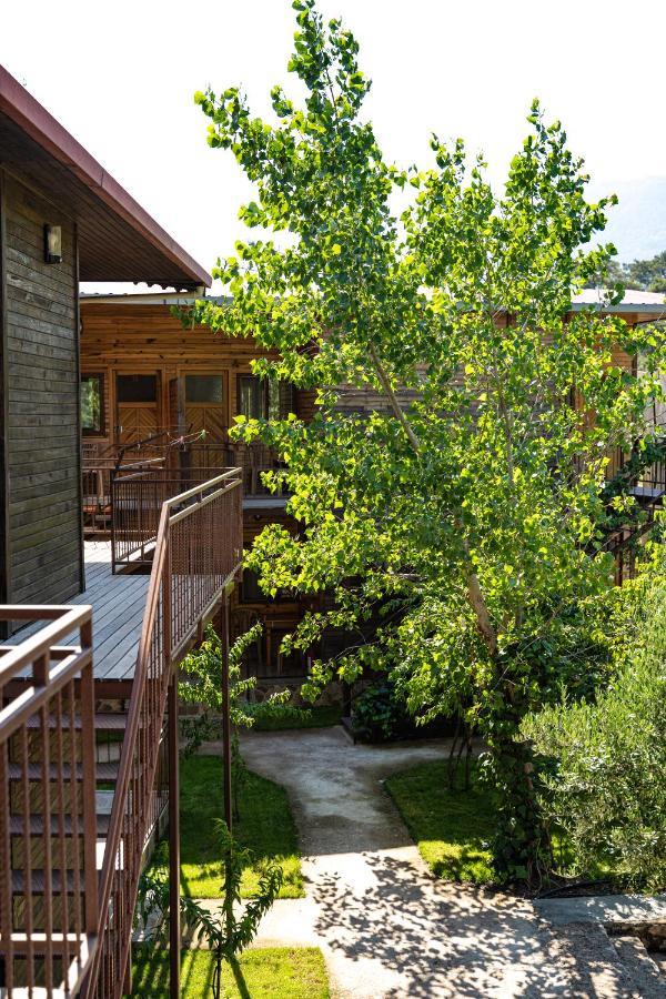 Olimpia Hotel Olympos Exterior photo